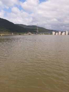 낙동강 창녕함안보 녹조 제거선 처리 전 원수 수면